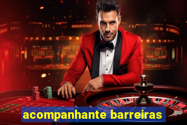 acompanhante barreiras